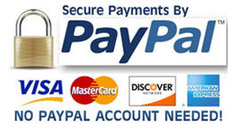 process service agency on Catalina Island Ca 90704